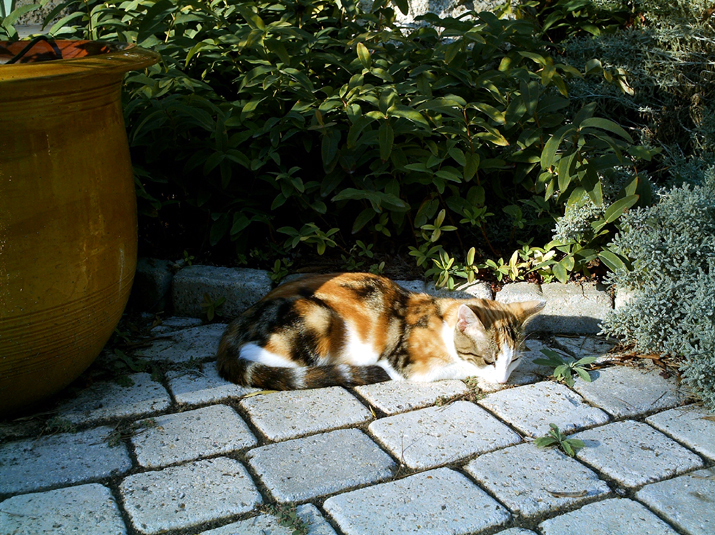 Caramel 09-04 009.jpg